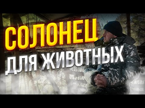 Видео: Солонец для животных! Как сделать солонец! #солонец
