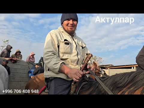 Видео: 11 ноября 2025 г.