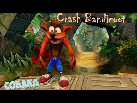 Видео: Прохождение Crash Bandicoot [Собака]