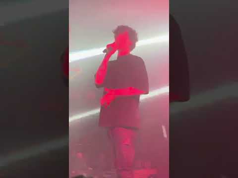 Видео: Xolidayboy - фанатка шапито