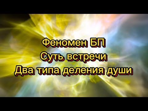 Видео: Феномен БП. Для чего встреча. Разница типов деления души