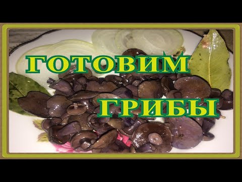 Видео: КАК ГОТОВИТЬ МАСЛЯТА, КОЗЛЯТА, ПОДБЕРЕЗОВИКИ, БЕЛЫЕ ГРИБЫ и ЛИСИЧКИ// ПРОСТОЙ СПОСОБ ГОТОВКИ ГРИБОВ
