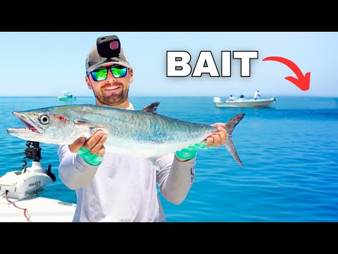 Видео: Это место было просто забито! Непрерывная рыбалка в открытом море (королевская рыба и люциан)