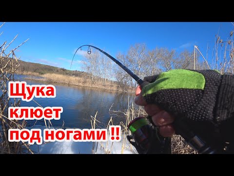 Видео: ЩУКА клюет под ногами Ловля рыбы на реке Рыбалка на спиннинг в марте