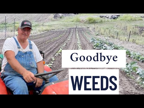 Видео: Вам больше не нужно работать мотыгой или культиватором — вот что мы делаем вместо этого