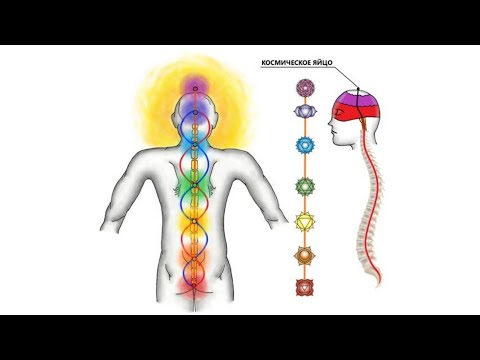 Видео: Воздержание. Мой опыт 4,5 месяца. Трансцендентная энергия меняет жизнь.