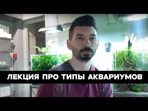 Видео: Лекция про пресноводные аквариумы. Какие они бывают?