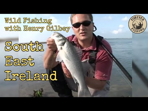 Видео: Юго-Восточная Ирландия: Дикая рыбалка с Генри Гилби (DVD) | Окунь, камбала, губан и сайда