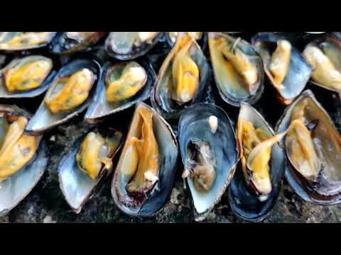 Видео: Готовим мидии.