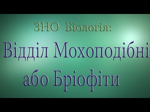 Видео: ЗНО Біологія.  Відділ Мохоподібні або Бріофіти