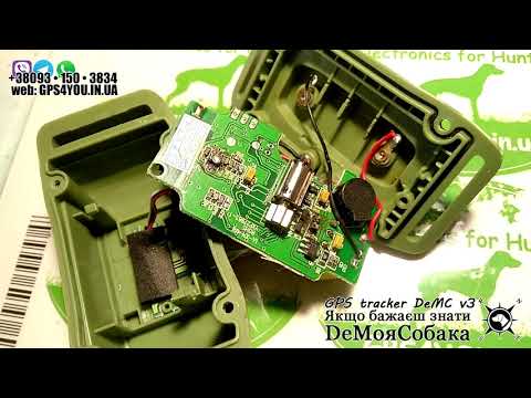 Видео: Электроошейник iPets 618 сгорел нахрен