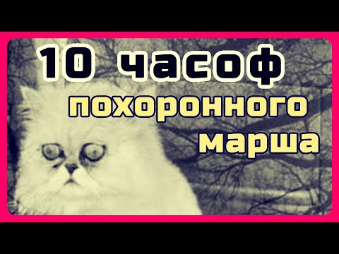 Видео: Похоронный марш по просьбам подписчиков, месть должна быть громкой!