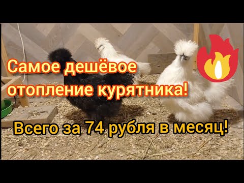 Видео: Как дёшево отопить курятник!