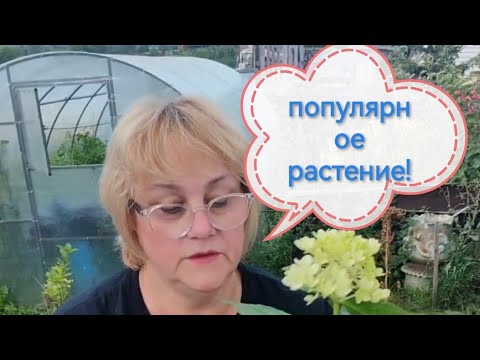 Видео: Какие растения выгодно продавать. Беседа 3.