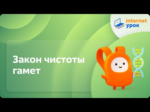 Видео: Закон чистоты гамет. Видеоурок по биологии 10 класс