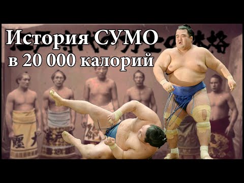 Видео: Сумо = 20 000 калорий в день