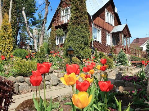 Видео: прогулка по весеннему саду-27мая 2020 г