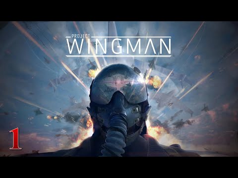 Видео: Project Wingman | Прохождение # 1