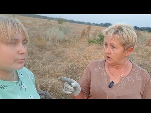 Видео: Это лето запомнила на долго! Последнее видео сезона