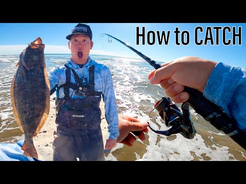Видео: Как поймать палтуса [рыбалка с берега]