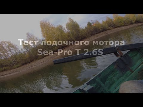 Видео: Тест лодочного мотора Sea Pro T 2 6S