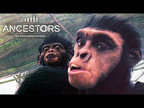 Видео: ДАЛЬНЯЯ ВЫЛАЗКА ► Ancestors: The Humankind Odyssey #10