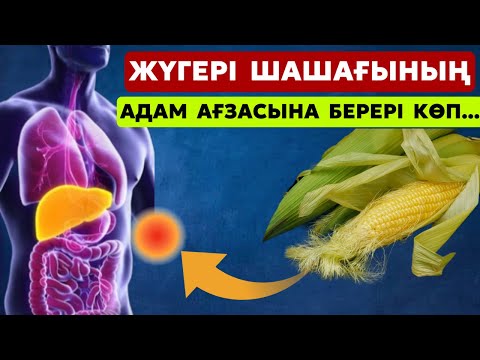 Видео: Жүгері шашағының құпиясы ашылды.Жүгері шашағының емдік қасиеттері.