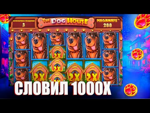 Видео: СЛОВИЛ 1000х В БОНУСКЕ И ТОПОВАЯ СЕССИЯ В The Dog House Megaways / ЗАНОС В СОБАКАХ / ЗАНОСЫ НЕДЕЛИ