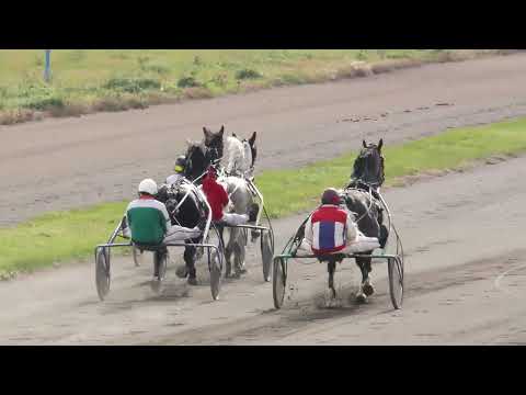 Видео: 5.10.2024г.Абакан Приз  Закрытия Бегового сезона для лошадей 4-х лет орловской рыс. породы 1600м.
