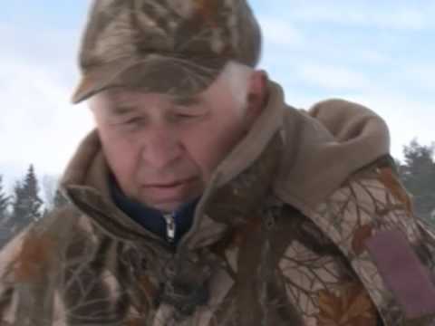 Видео: По клевым местам. Зимняя рыбалка на псковском озере Льсто