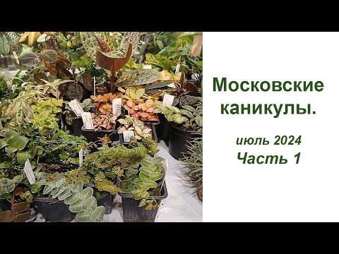 Видео: Московские каникулы, часть 1 -  июль 2024, выставка растений и первые покупки