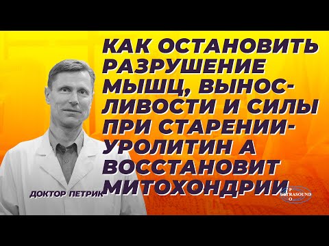 Видео: Как остановить разрушение мышц, выносливости и силы при старении. Уролитин А восстановит митохондрии