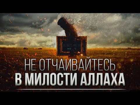 Видео: 31 октября 2025 г.