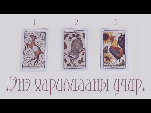 Видео: [Таро]  Энэ харилцааны учир юу вэ? 🌙💗😫(Нэмэлттэй)