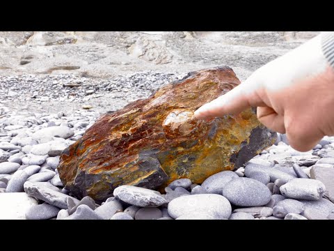 Видео: Охотник за окаменелостями раскрывает секретные советы по обнаружению окаменелостей