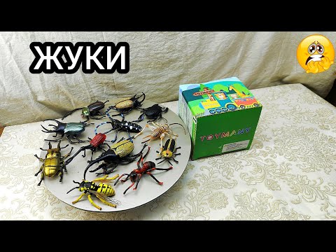 Видео: Жуки "TOYMANY". Распаковка.