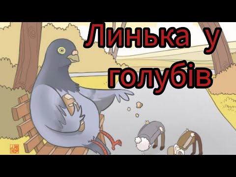 Видео: Как помочь голубям пройти линьку безболезненно 