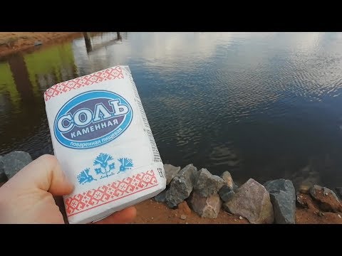 Видео: Добавление соли в пруд!лечение рыб солью!повышение иммунитета у рыб весной!пруд на даче!