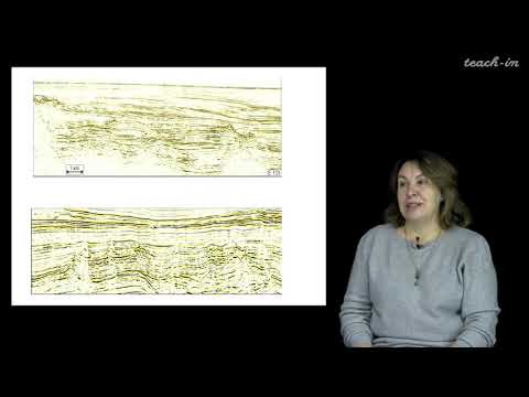 Видео: Яковишина Е.В. - Секвентная  стратиграфия. Семинары - 3. Сейсмофации
