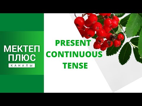 Видео: Present Continuous Tense, English Grammar. Узартылган учур чакты кантип жана качан колдонобуз?