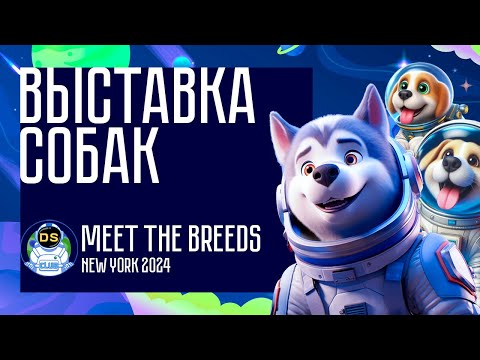 Видео: Выставка Собак 2024 - Репортаж