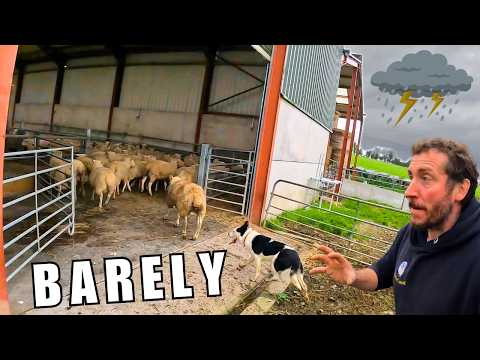 Видео: Точка разрыва – Фермерство на грани