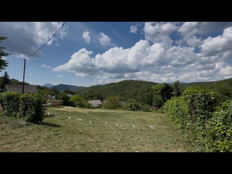 Видео: ✅ Продажа участка с видом на горы в с.Пшада (Геленджик). 🏞️ +79219380696