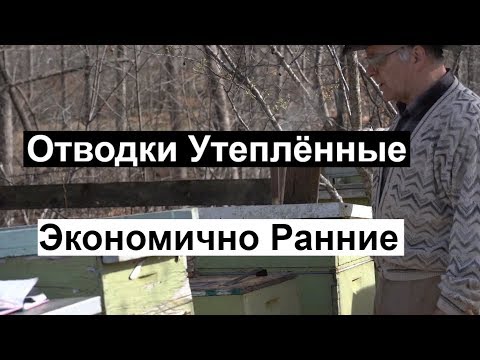 Видео: Пасека #109 Отводки Утеплённые Экономичные Ранние  /  Пчеловодство для начинающих