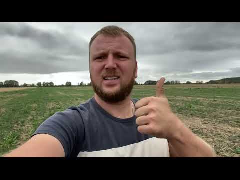 Видео: Третій місяць не йде дощ.🤬 Дайкон росте. Потенціал є💪