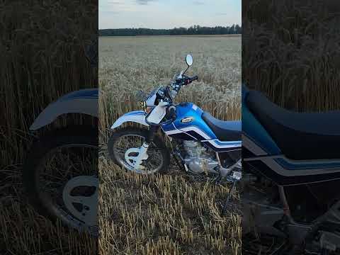 Видео: Yamaha serow 225 #pmg #хyярьëбашь