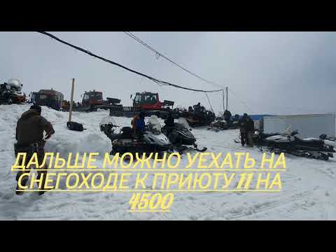 Видео: Эльбрус,поляна Азау,2023