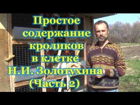 Видео: Простое содержание кроликов в клетке Н.И. Золотухина (Часть 2 из 3)