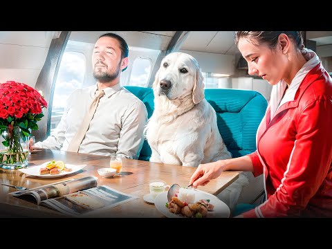 Видео: Бесплатно летать с собакой в салоне самолета?  Сервис Дог - путешествия без ограничений! Service dog