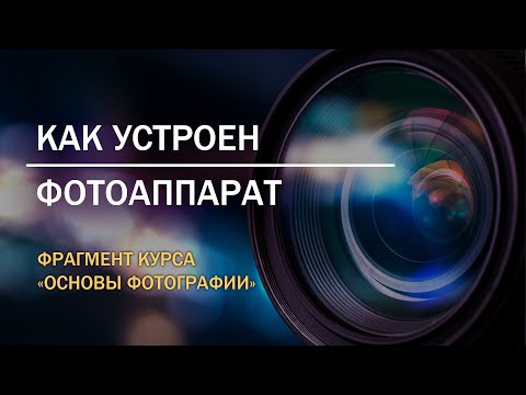 Видео: Как устроен фотоаппарат